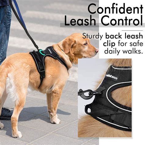 leash with 2 clips